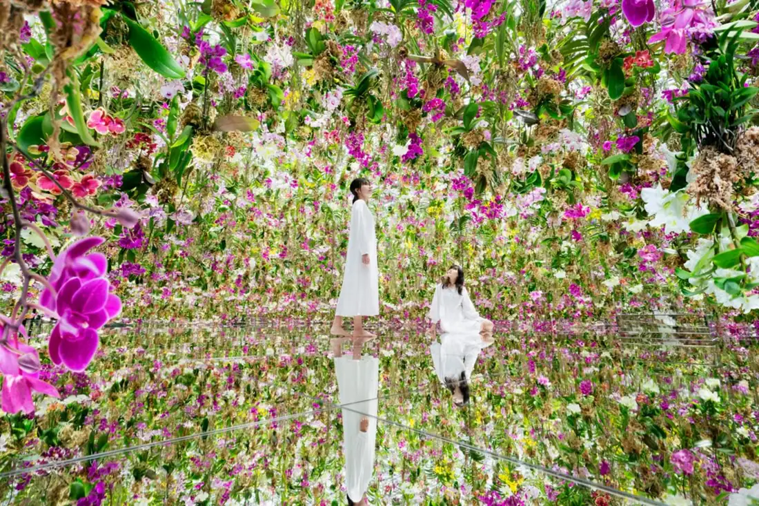 Visitors among suspended orchids in the Floating Flower Garden at teamLab Planets, the most popular of the digital art museums in Tokyo