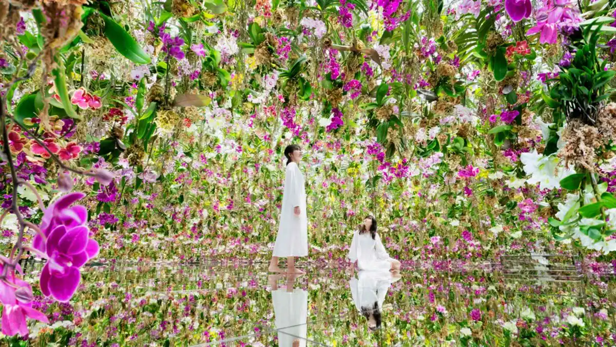 Visitors wading through the glowing water room at teamLab Planets, one of the most popular museums in Tokyo
